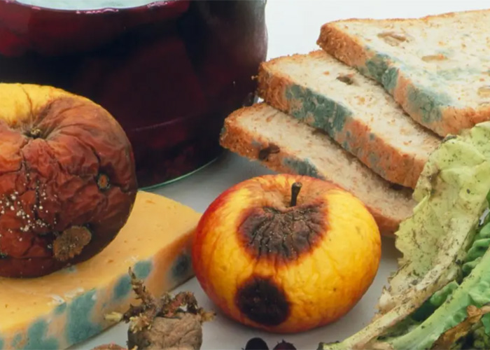 上海過期食品銷毀有關議論文 上海過期食品銷毀有關議論文