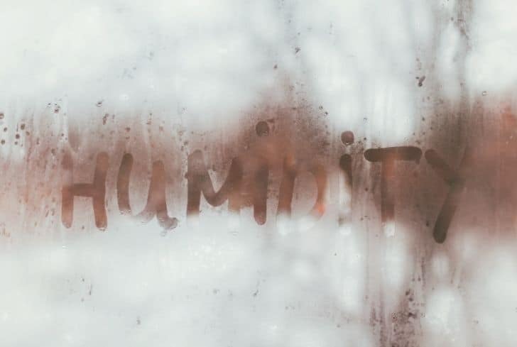 潮濕是如何造成空氣污染的？