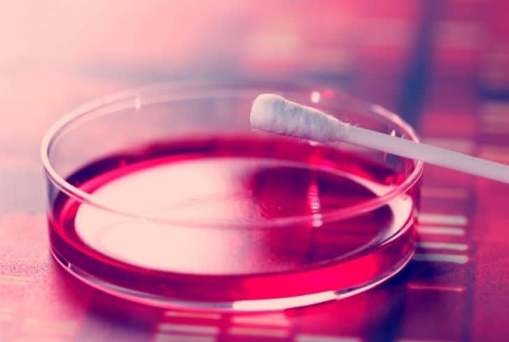 Q-Tips 是否可回收？