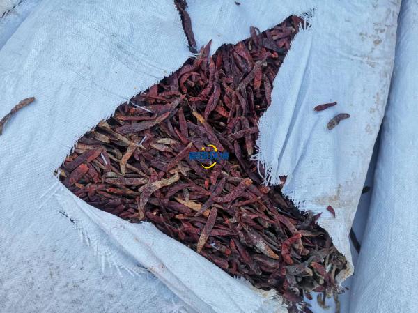 案例|某公司海關產(chǎn)品銷毀