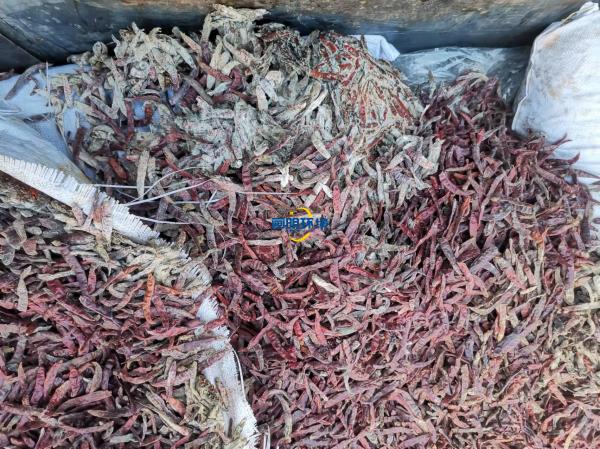 案例|某公司海關產(chǎn)品銷毀