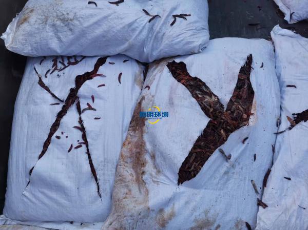 案例|某公司海關產(chǎn)品銷毀