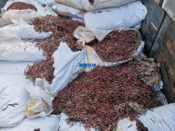 案例|某公司海關產(chǎn)品銷毀